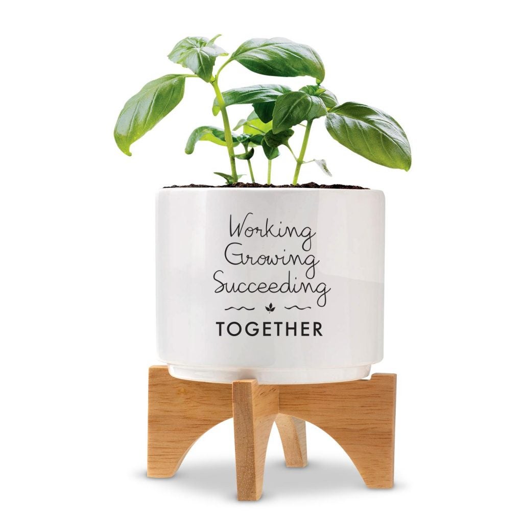 Employee Plant Gift